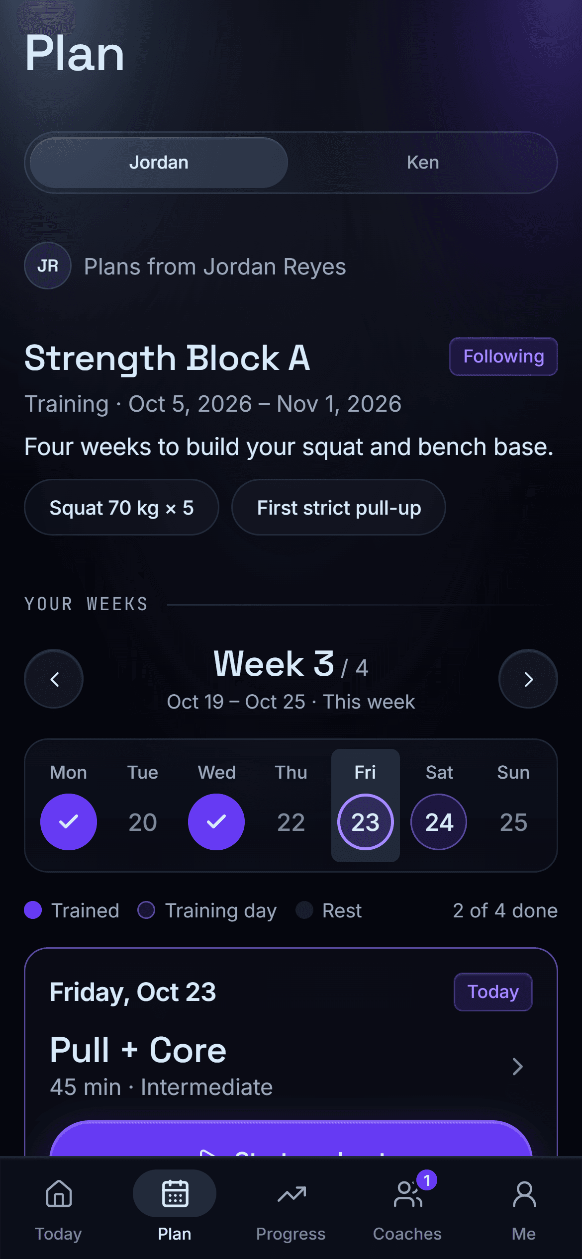 The client's plan: this week's training days and today's workout